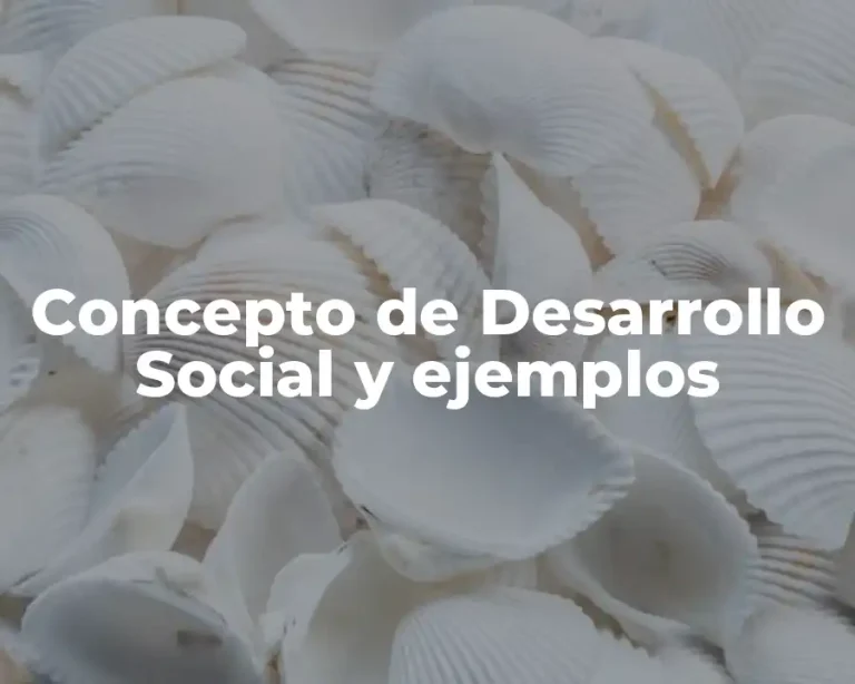Concepto de Desarrollo Social y ejemplos