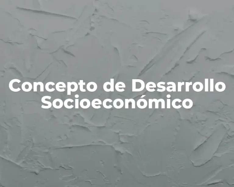 Concepto de Desarrollo Socioeconómico