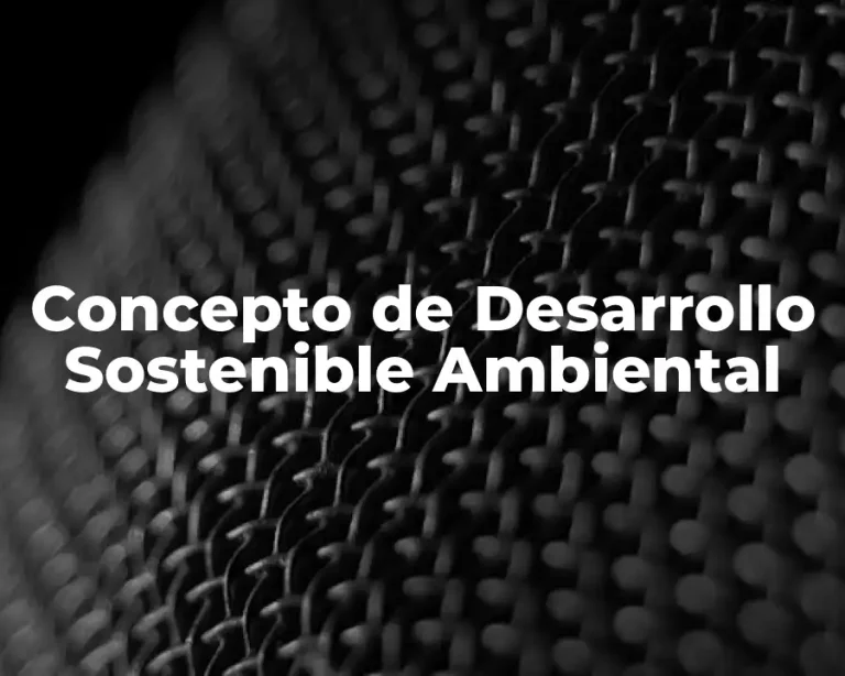 Concepto de Desarrollo Sostenible Ambiental