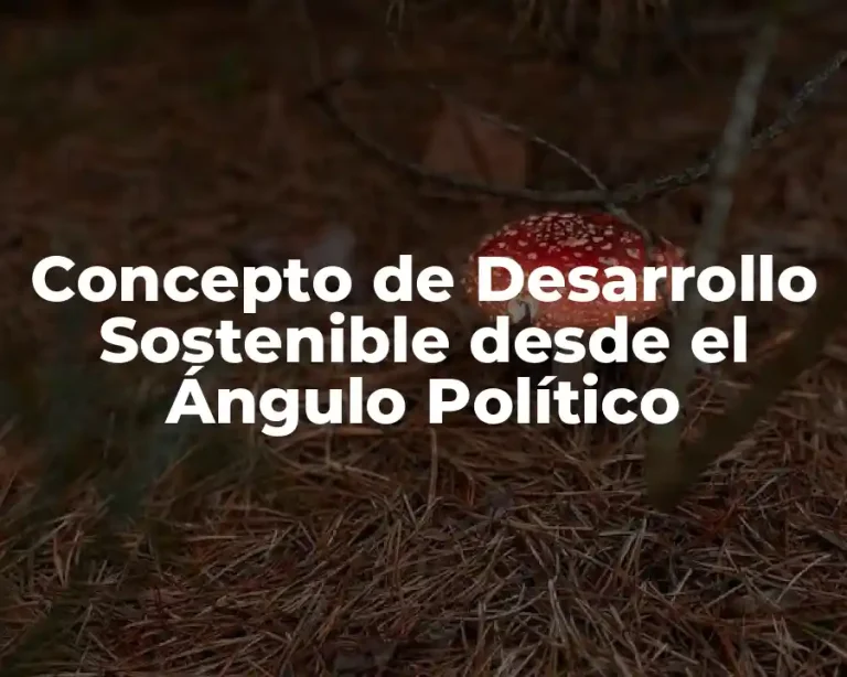 Concepto de Desarrollo Sostenible desde el Ángulo Político