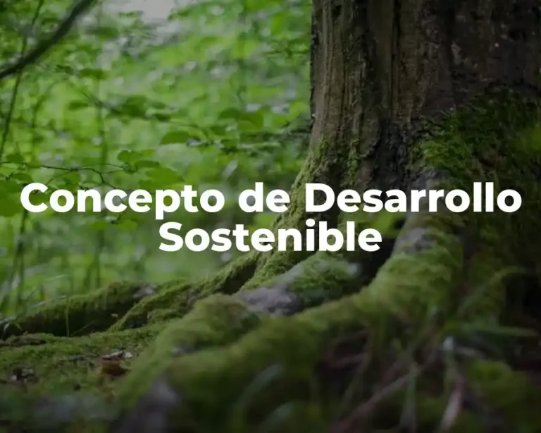 Concepto de Desarrollo Sostenible