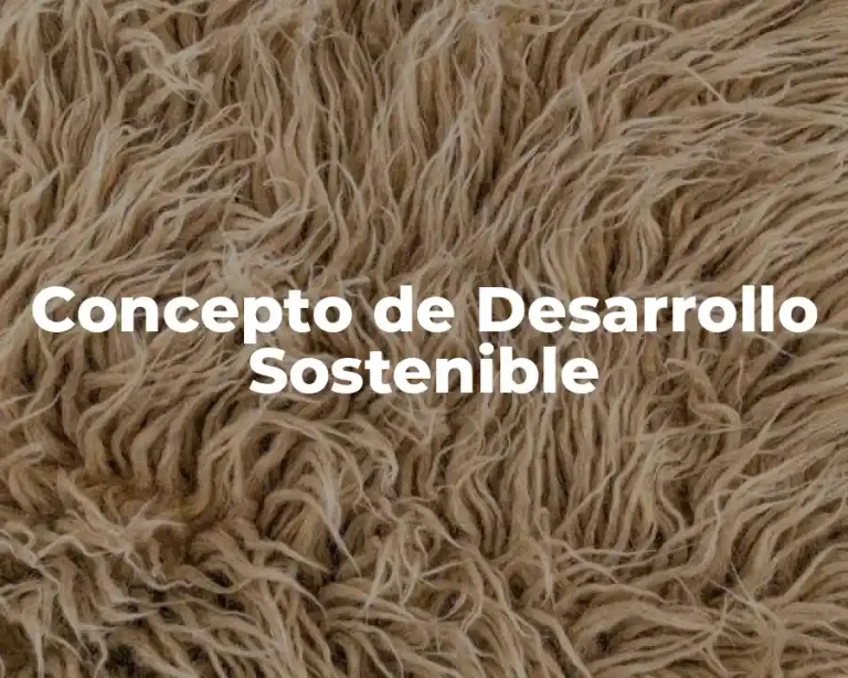 Concepto de Desarrollo Sostenible