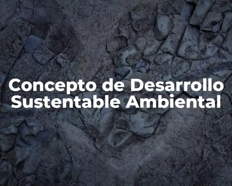 Concepto de Desarrollo Sustentable Ambiental