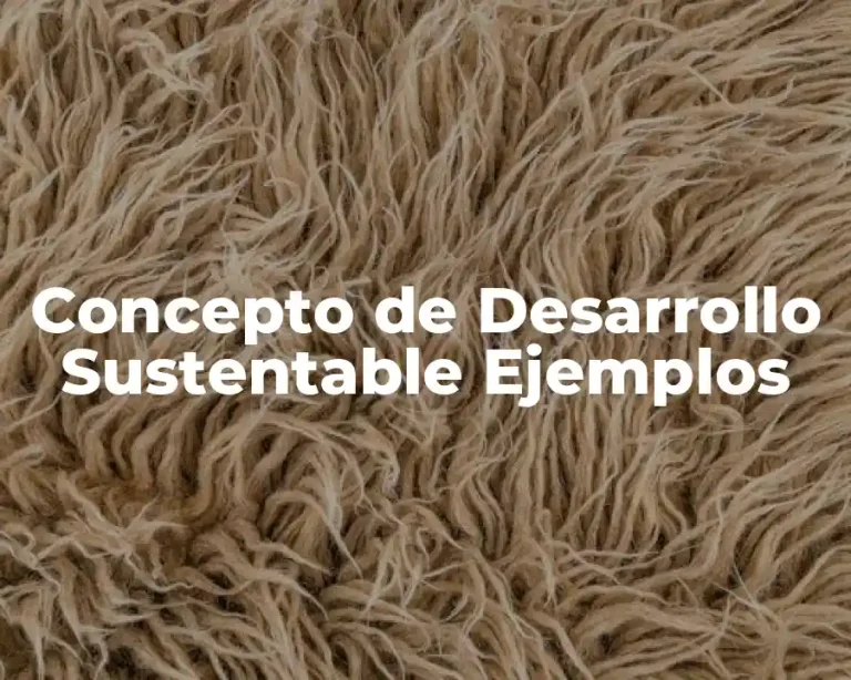 Concepto de Desarrollo Sustentable Ejemplos