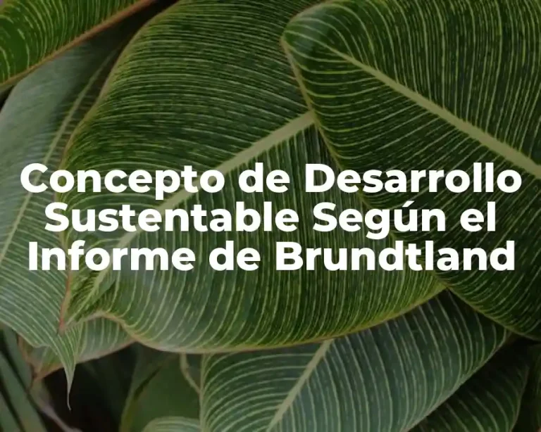 Concepto de Desarrollo Sustentable Según el Informe de Brundtland