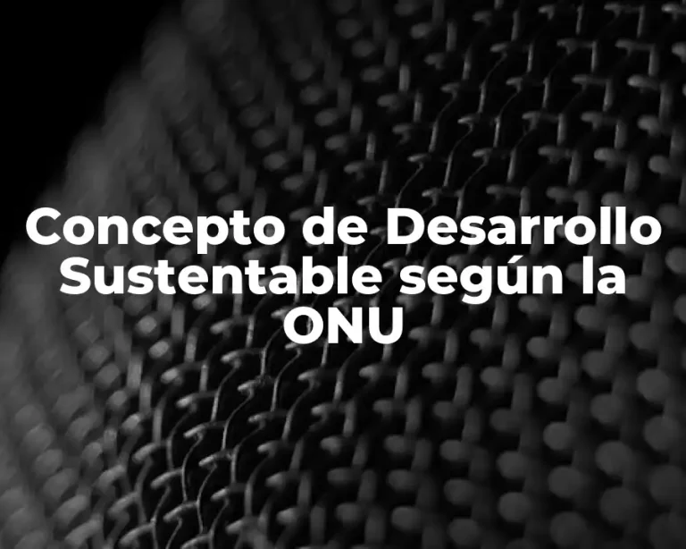 Concepto de Desarrollo Sustentable según la ONU