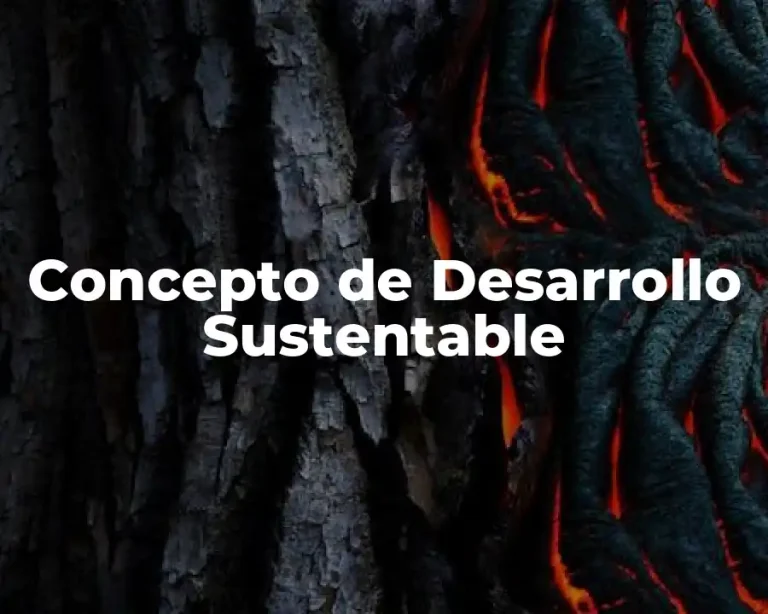 Concepto de Desarrollo Sustentable