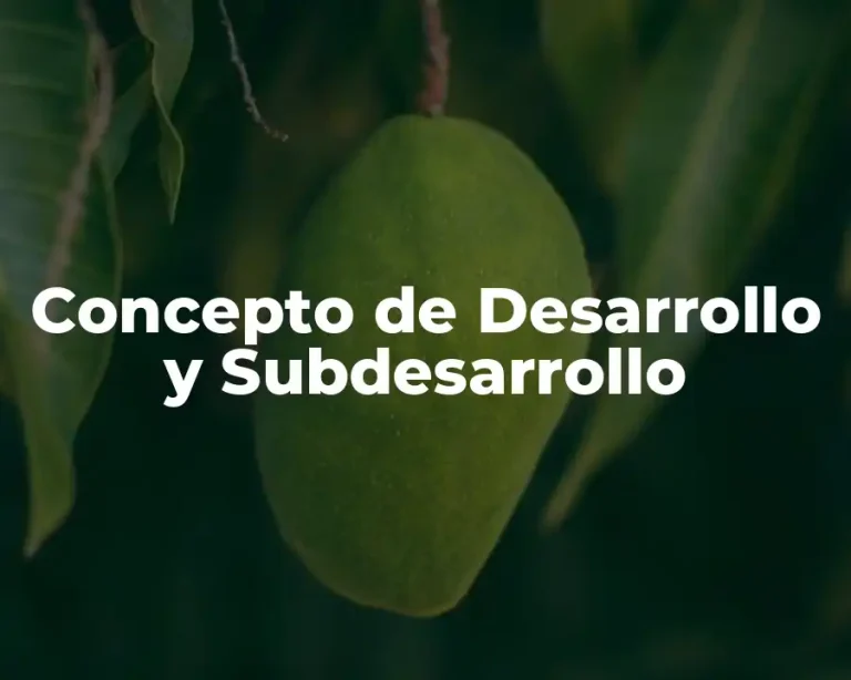 Concepto de Desarrollo y Subdesarrollo