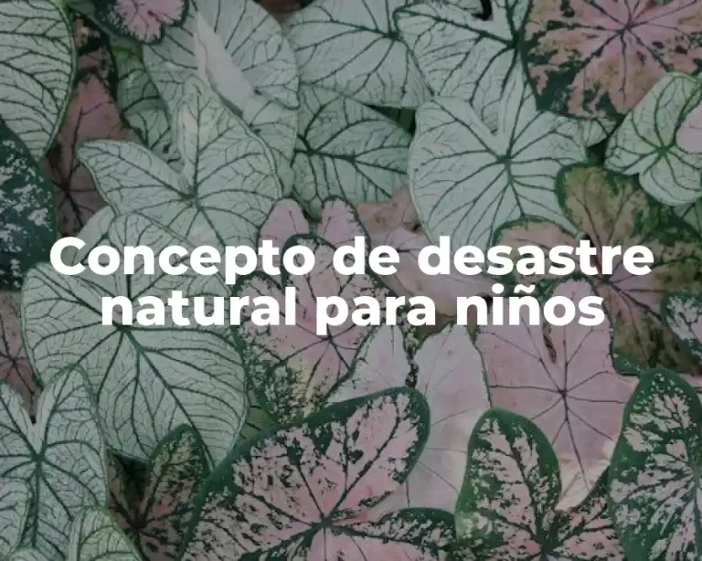 Concepto de desastre natural para niños
