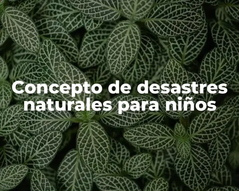 Concepto de desastres naturales para niños