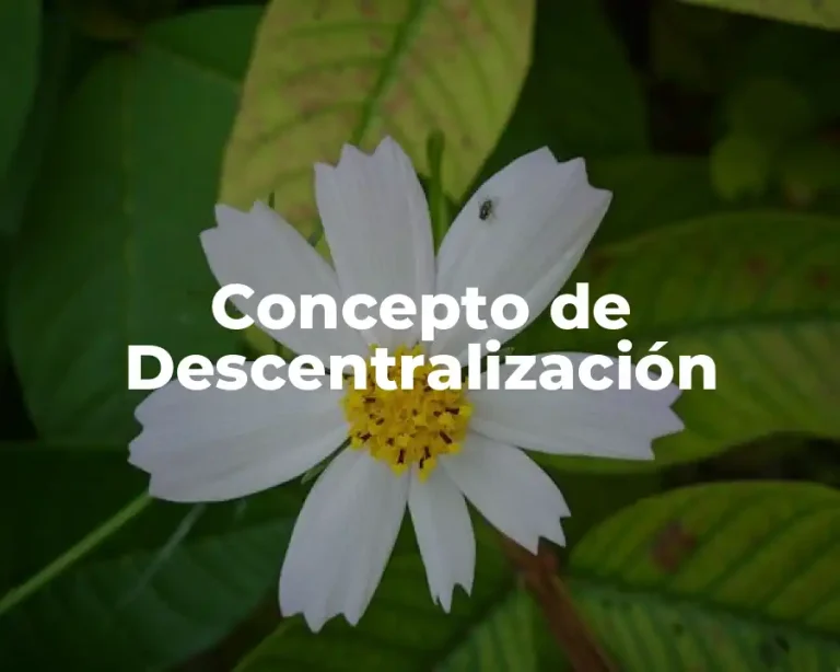Concepto de Descentralización