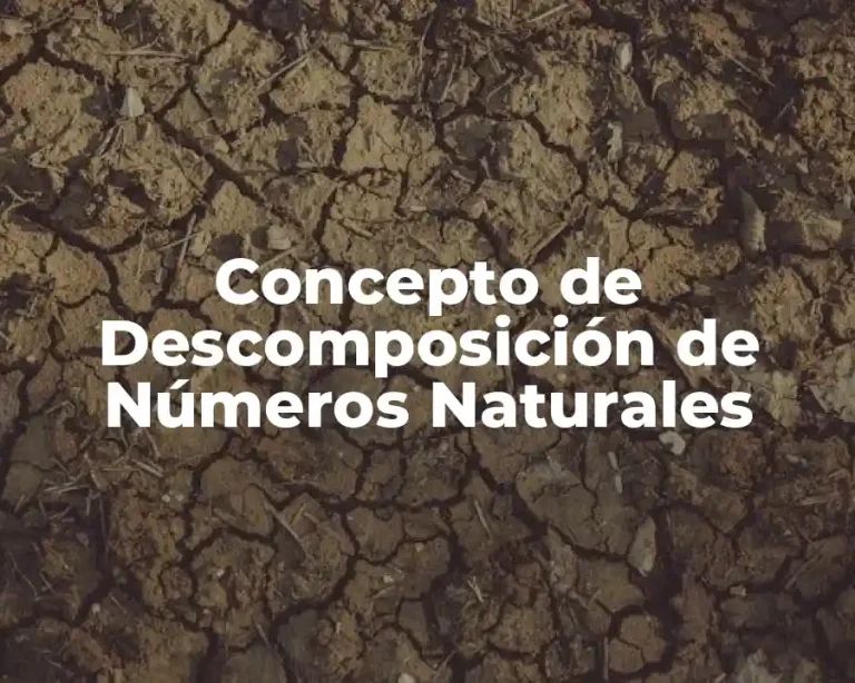 Concepto de Descomposición de Números Naturales