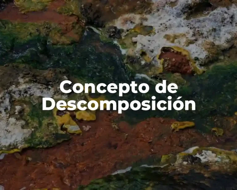 Concepto de Descomposición