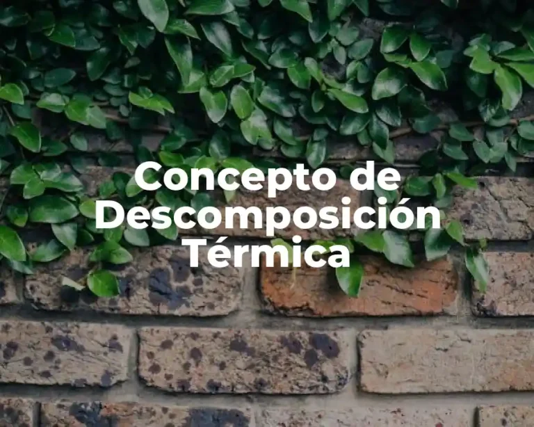 Concepto de Descomposición Térmica