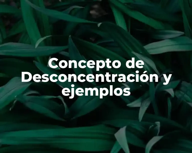 Concepto de Desconcentración y ejemplos