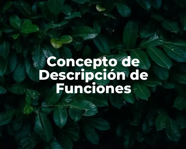Concepto de Descripción de Funciones
