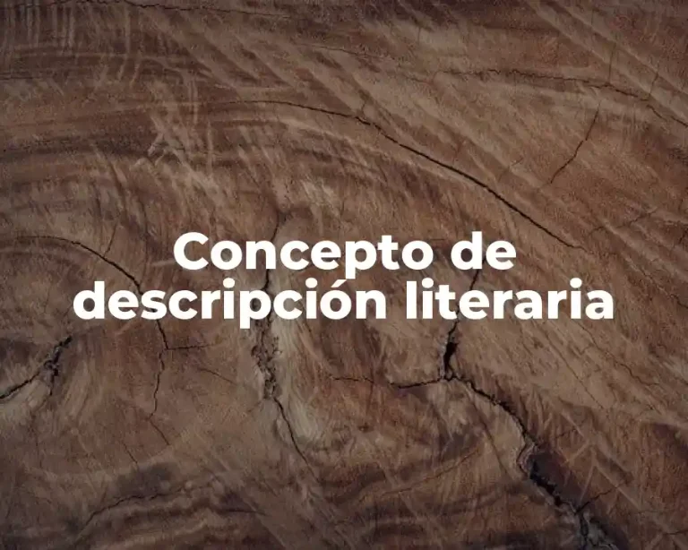 Concepto de descripción literaria