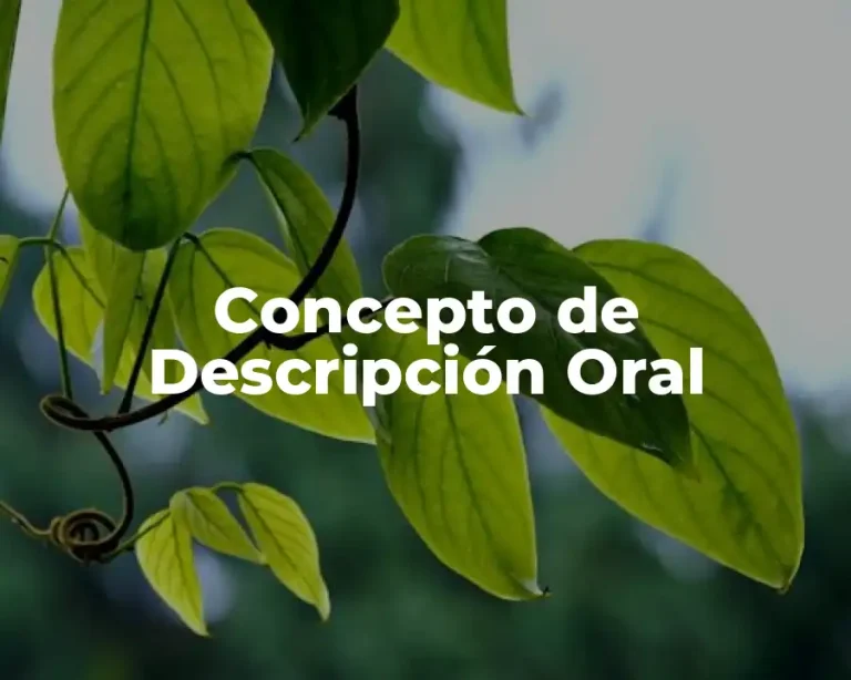 Concepto de Descripción Oral