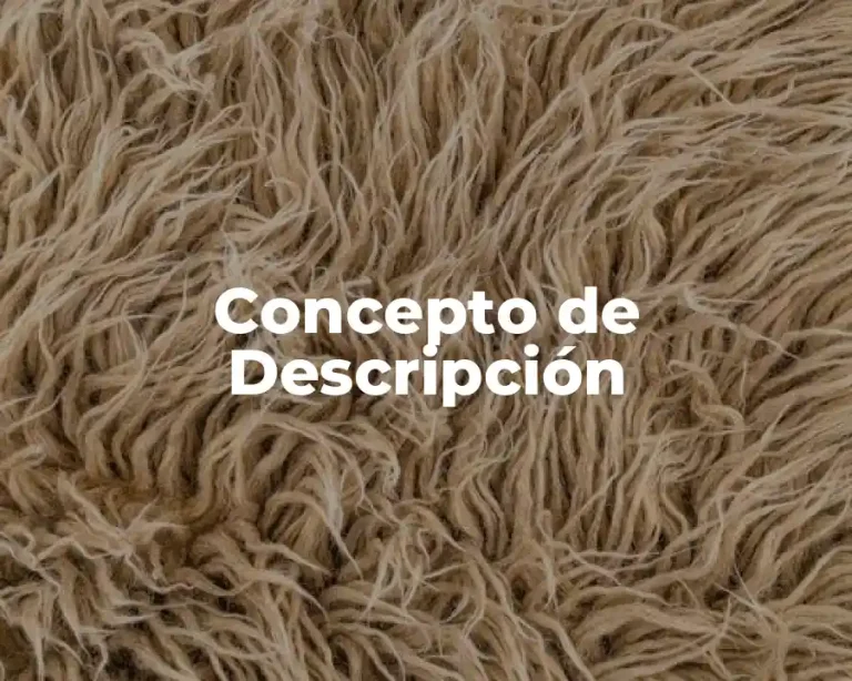 Concepto de Descripción
