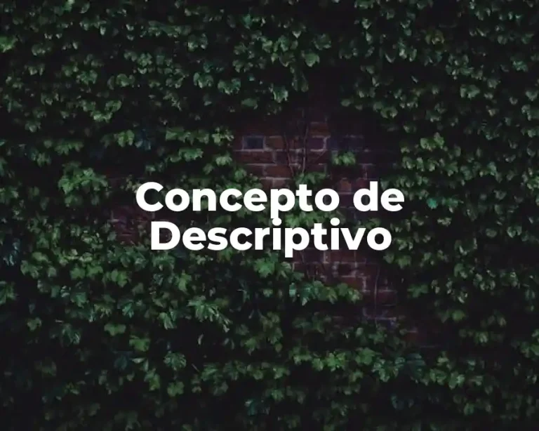 Concepto de Descriptivo
