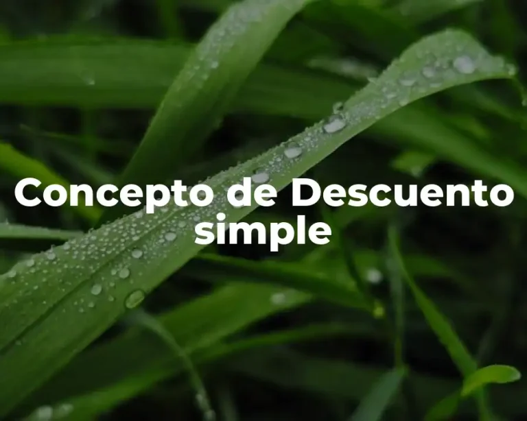 Concepto de Descuento simple