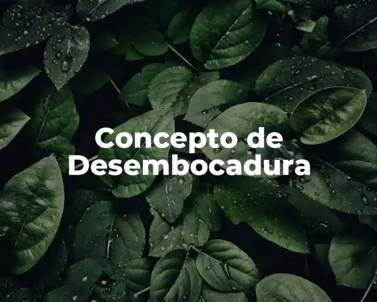 Concepto de Desembocadura