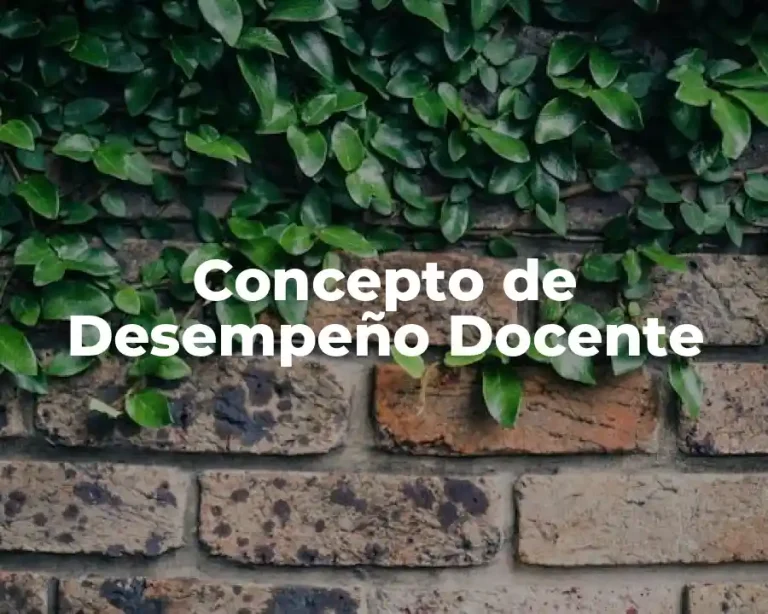 Concepto de Desempeño Docente