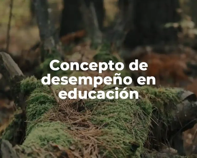 Concepto de desempeño en educación