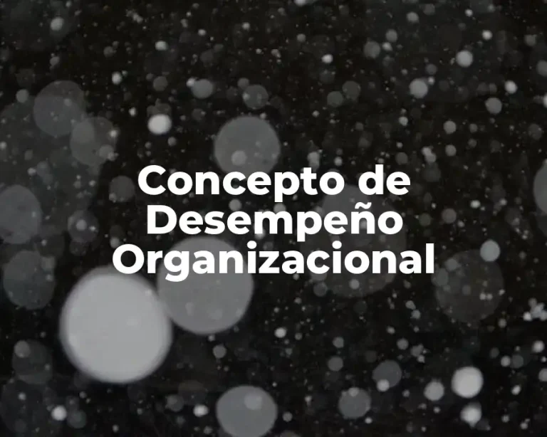 Concepto de Desempeño Organizacional