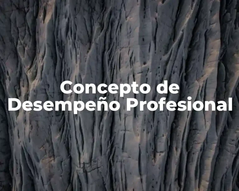 Concepto de Desempeño Profesional