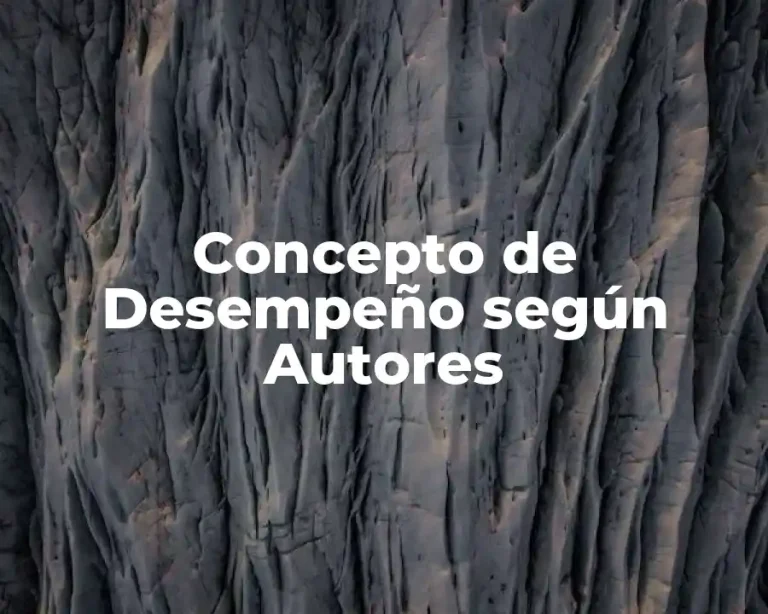 Concepto de Desempeño según Autores