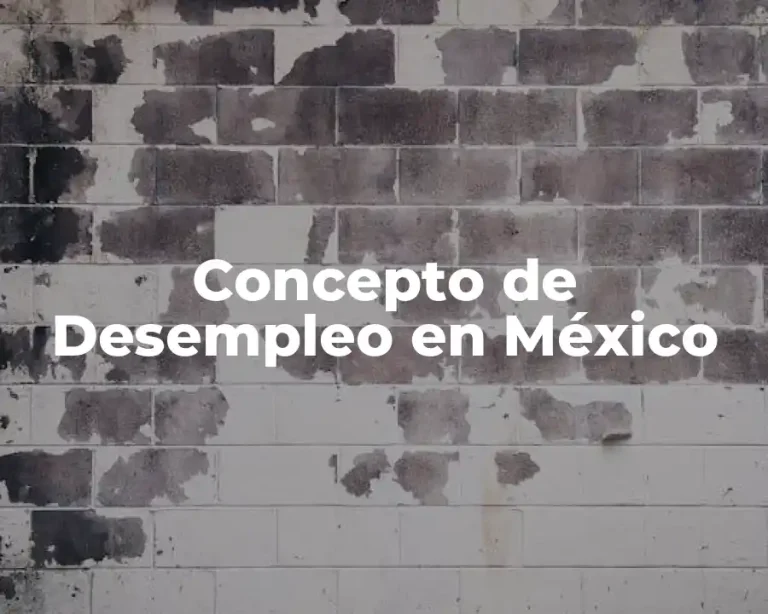 Concepto de Desempleo en México