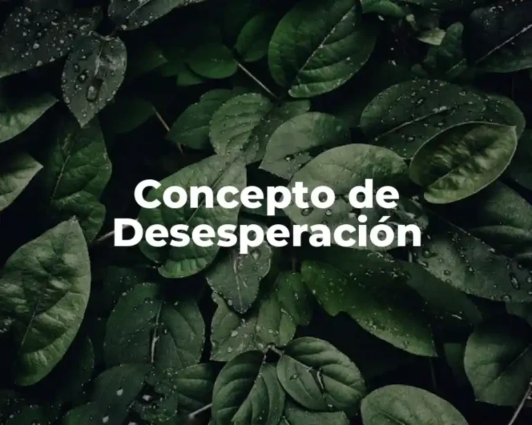 Concepto de Desesperación