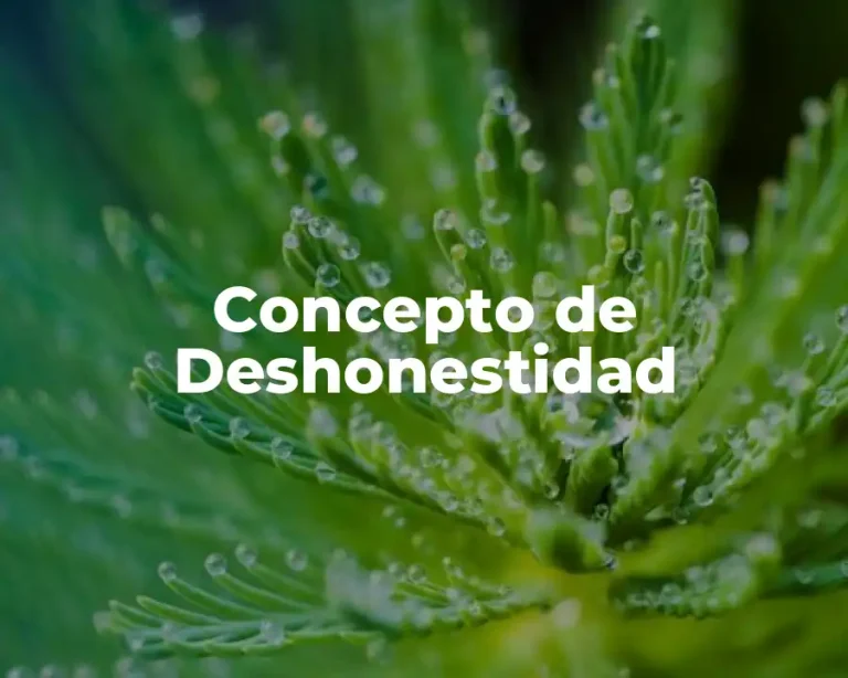 Concepto de Deshonestidad