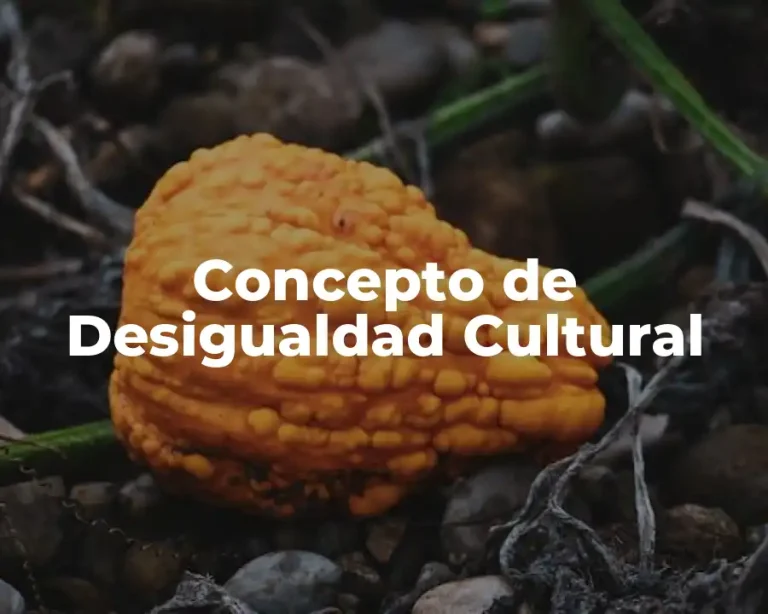 Concepto de Desigualdad Cultural