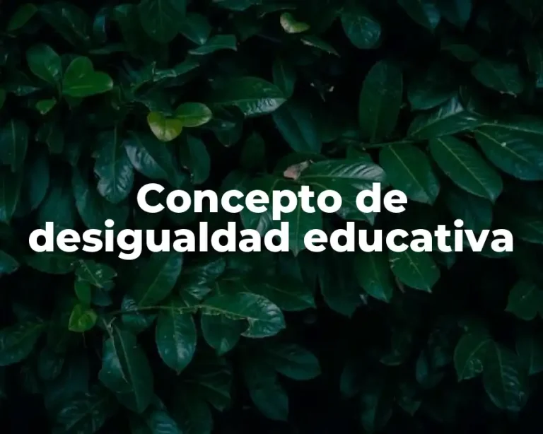 Concepto de desigualdad educativa
