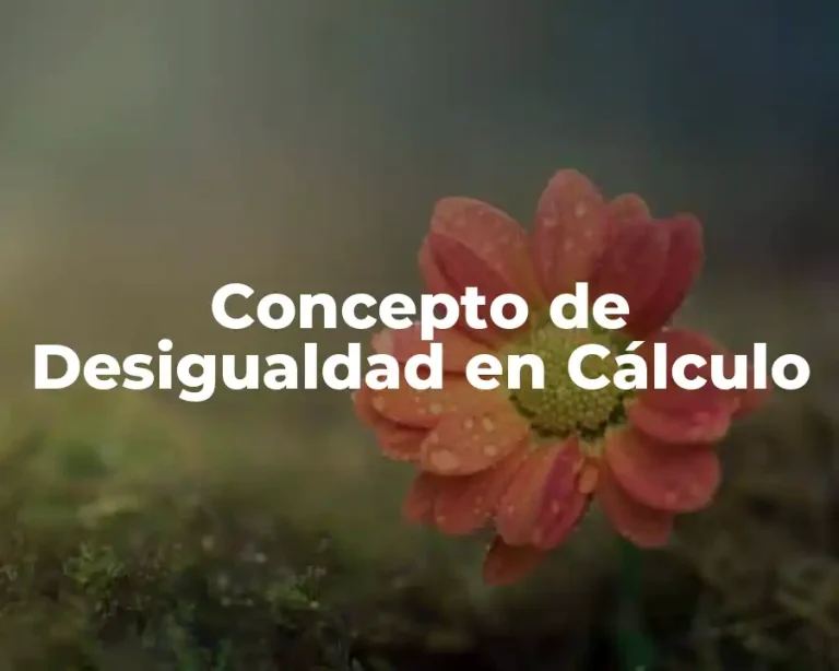 Concepto de Desigualdad en Cálculo