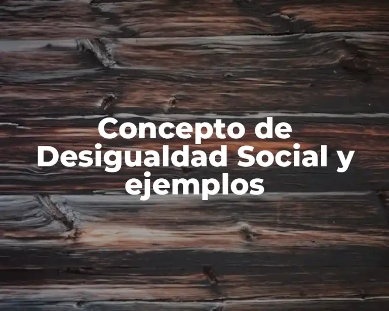Concepto de Desigualdad Social y ejemplos