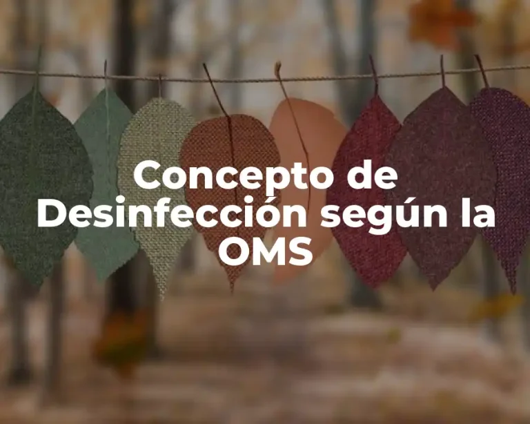 Concepto de Desinfección según la OMS