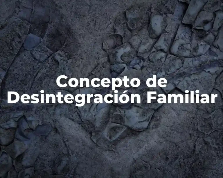 Concepto de Desintegración Familiar