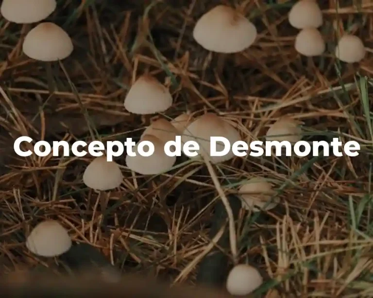 Concepto de Desmonte