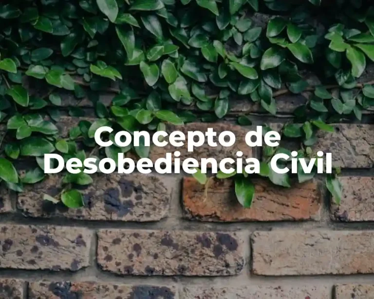 Concepto de Desobediencia Civil