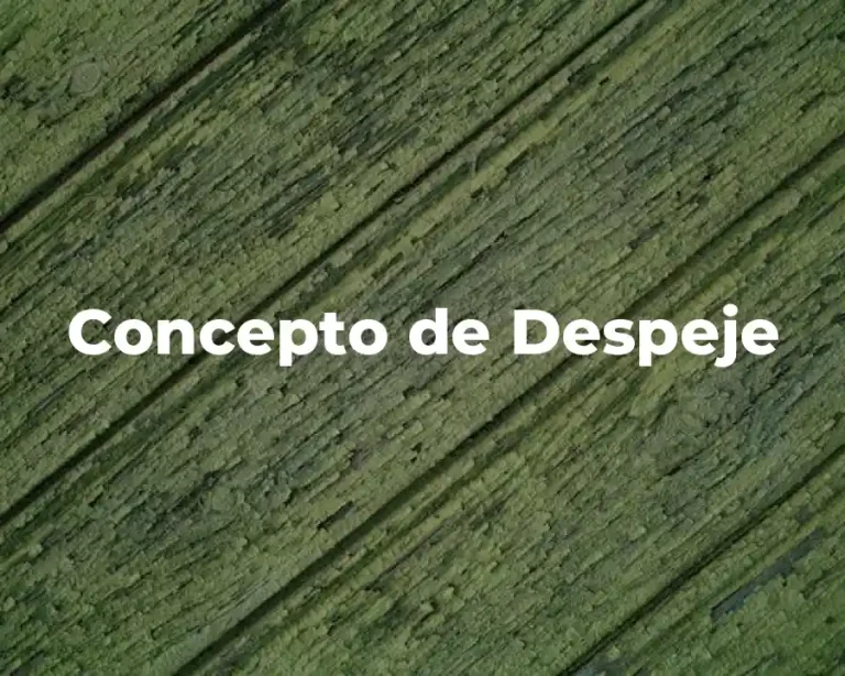 Concepto de Despeje