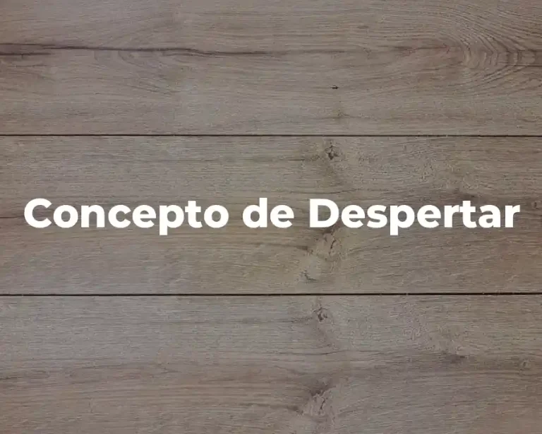 Concepto de Despertar