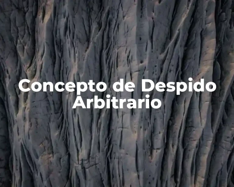Concepto de Despido Arbitrario