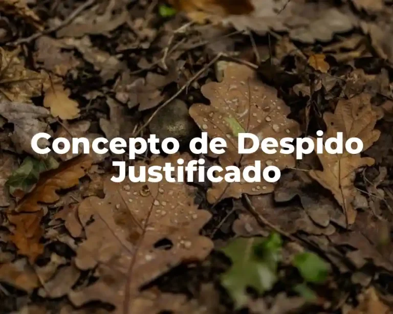 Concepto de Despido Justificado