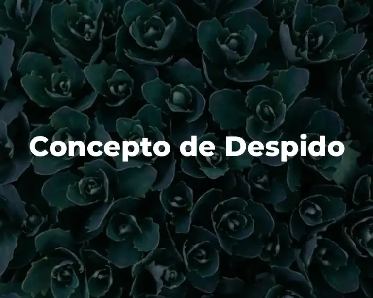 Concepto de Despido
