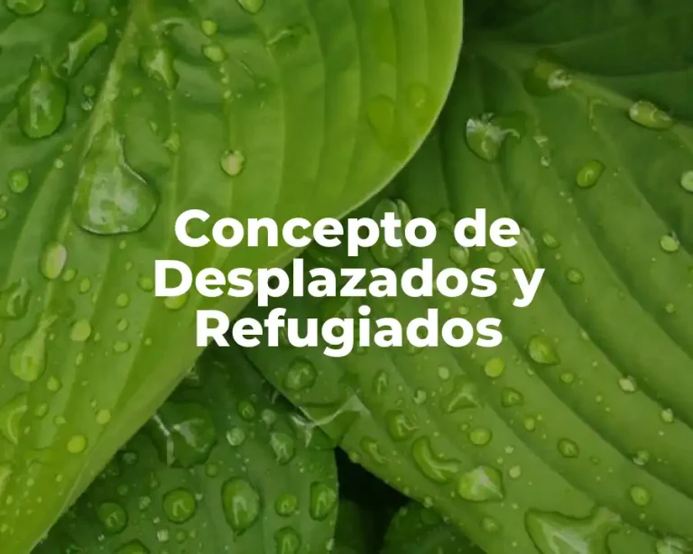 Concepto de Desplazados y Refugiados
