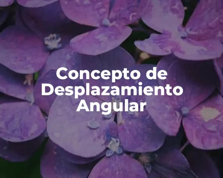 Concepto de Desplazamiento Angular