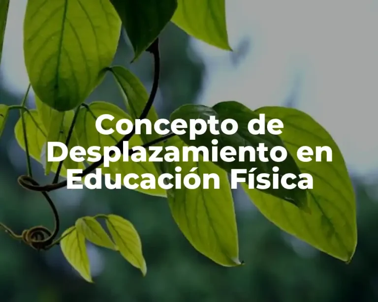 Concepto de Desplazamiento en Educación Física